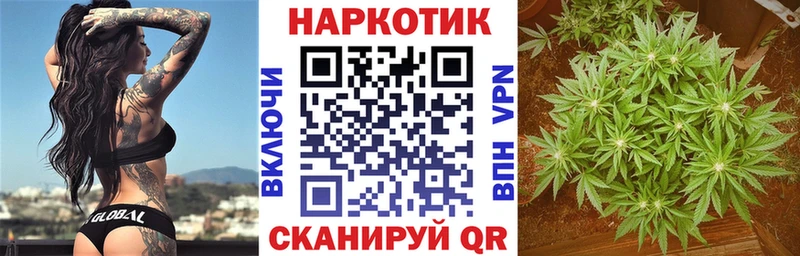 Наркошоп купить А ПВП  МЕФ  Псилоцибиновые грибы  КОКАИН  ГАШИШ  Елизаветинская