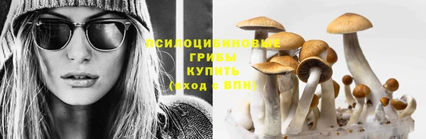 мескалин Алексин