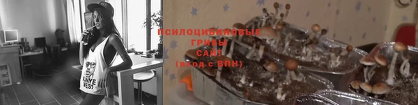 мескалин Алексин